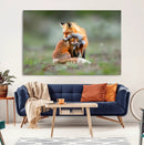 Heartwarming Fox and Baby Cub Wall Art | Ready to Hang by MyGreatCanvas | Canvas Wall Art Prints | Photo Prints & Wall Decor