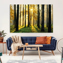 Sunlit Forest Wall Art Canvas Print – Large Framed Woodland