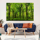 Lush Green Forest Canvas Print | 3-Panel Forest Wall Art |
