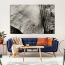 Elephant Wall Art Canvas Print