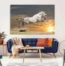 Large Wall Art Canvas Print – White Jumping Horse Sunset