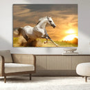Large Wall Art Galloping White Horse at Sunset Canvas Print