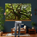 Angel Oak Tree Wall Art Canvas Print | Forest Tree Nature