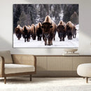 Bison Wall Art Canvas Print- Bison Herd Canvas Wall Art –