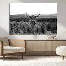 Black and White Highland Cow Canvas Wall Art, Longhorn by MyGreatCanvas | Canvas Wall Art Prints | Photo Prints & Wall Decor