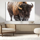 Bison Wall Art Canvas Print For Farmhouse, Wild Animal Wall by MyGreatCanvas | Canvas Wall Art Prints | Photo Prints & Wall Decor