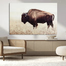 Bison in Field Wall Art Canvas Print For Farmhouse Barn