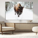 Bison Wall Art Canvas Print For Farmhouse, Animal Canvas