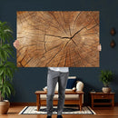 Tree Ring Canvas Art, Rustic Wood Grain Wall Art, Tree Slice