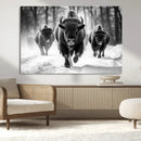 Buffalo Wall Art Canvas Print, Bison Family Wall Art Canvas by MyGreatCanvas | Canvas Wall Art Prints | Photo Prints & Wall Decor