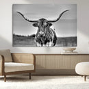 Texas Longhorn Cow Wall Art, Texas Longhorn Canvas, Cattle