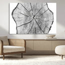 Rustic Tree Ring Wall Art Canvas Print – Framed and Ready to