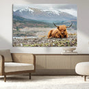 Highland Cow Horn Farm Wall Art Canvas Print