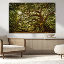 Ancient Angel Oak Tree Art Sunburst Canvas Print-