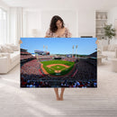 Cincinnati Reds Baseball Canvas Print - American Ball