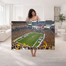 Pittsburgh Steelers Print - Pittsburgh Heinz Field Stadium
