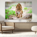 Leopard on the Prowl - Stunning Large Framed Leopard Wall