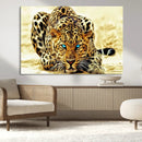 Blue-Eyed Leopard Canvas Wall Art - Framed Animal Print