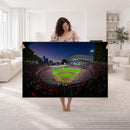 Houston Astros Baseball Print Canvas - Houston Minute Maid