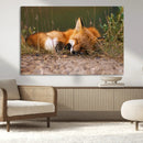 Sleeping Fox Wall Art Canvas Print, Farmhouse Wall Decor and by MyGreatCanvas | Canvas Wall Art Prints | Photo Prints & Wall Decor