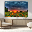 Golden Sunflower Field at Sunset – Breathtaking Sky and