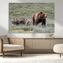 Wildlife Photography of 399 Grizzly Bear Cubs | Queen of the