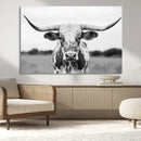 Highland Cow Wall Art Canvas Print – Black and White Western