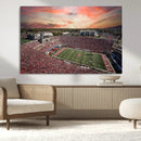 Indiana Memorial Stadium Wall Art Canvas Print, Framed