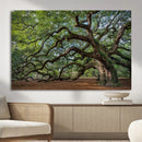 Historic Tree Wall Art – Framed Mossy Branch Canvas Artwork, by MyGreatCanvas | Canvas Wall Art Prints | Photo Prints & Wall Decor