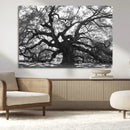 Ancient Oak Wall Art Canvas Print – Gnarled Tree Twisted by MyGreatCanvas | Canvas Wall Art Prints | Photo Prints & Wall Decor
