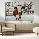 Texas Longhorn Wall Art Canvas Print – Framed Spotted Bull