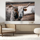 Texas Longhorn Wall Art Canvas Print – Framed Spotted Bull