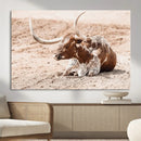 Texas Longhorn Wall Art Canvas Print – Framed Resting Bull by MyGreatCanvas | Canvas Wall Art Prints | Photo Prints & Wall Decor
