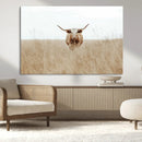 Texas Longhorn Wall Art Canvas Print – Framed Lone Cattle by MyGreatCanvas | Canvas Wall Art Prints | Photo Prints & Wall Decor