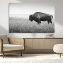 Bison in Prairie Wall Art Canvas Print – Framed Rustic by MyGreatCanvas | Canvas Wall Art Prints | Photo Prints & Wall Decor
