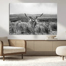 Monochrome Highland Cow Wall Art Canvas Print – Framed by MyGreatCanvas | Canvas Wall Art Prints | Photo Prints & Wall Decor