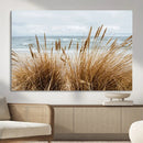 Beach Grass Wall Art – Framed Coastal Dunes Canvas Artwork, by MyGreatCanvas | Canvas Wall Art Prints | Photo Prints & Wall Decor