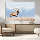 Elk Wall Art Canvas Print – Framed Mountain Wildlife Art by MyGreatCanvas | Canvas Wall Art Prints | Photo Prints & Wall Decor