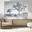 Joshua Tree Wall Art Canvas Print – Framed Black White