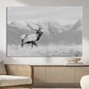 Elk Wildlife Wall Art Canvas Print – Framed Mountain Elk Art by MyGreatCanvas | Canvas Wall Art Prints | Photo Prints & Wall Decor
