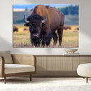 Bison Photography Wall Art Canvas Print – Framed Rustic by MyGreatCanvas | Canvas Wall Art Prints | Photo Prints & Wall Decor