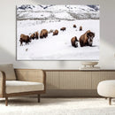 Bison Herd Wall Art Canvas Print – Framed Western Wildlife by MyGreatCanvas | Canvas Wall Art Prints | Photo Prints & Wall Decor