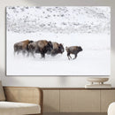 Bison Herd Decor Wall Art Canvas Print – Framed Snowy Bison by MyGreatCanvas | Canvas Wall Art Prints | Photo Prints & Wall Decor