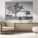 Joshua Tree Wall Art Canvas Print – Framed Monochrome Desert