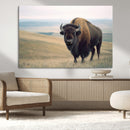 Bison Wall Art Canvas Print – Framed Buffalo Canvas Picture by MyGreatCanvas | Canvas Wall Art Prints | Photo Prints & Wall Decor