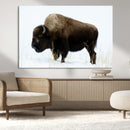 Bison Wall Art Canvas Print – Framed Western Wildlife