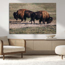 Bison Wall Art Canvas Print – Framed Western Wildlife Modern by MyGreatCanvas | Canvas Wall Art Prints | Photo Prints & Wall Decor