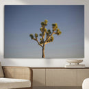 Joshua Tree Wall Art Canvas Print – Framed Southwestern by MyGreatCanvas | Canvas Wall Art Prints | Photo Prints & Wall Decor