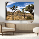 Joshua Tree Desert Wall Art Canvas Print – Framed by MyGreatCanvas | Canvas Wall Art Prints | Photo Prints & Wall Decor