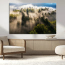 Tranquil Forest Wall Art Canvas Print – Framed Sunbeam by MyGreatCanvas | Canvas Wall Art Prints | Photo Prints & Wall Decor